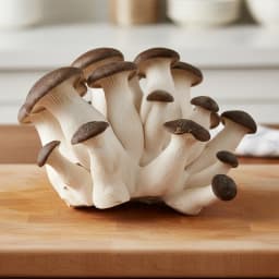 King Oyster mushrooms used for species cultivation comparison